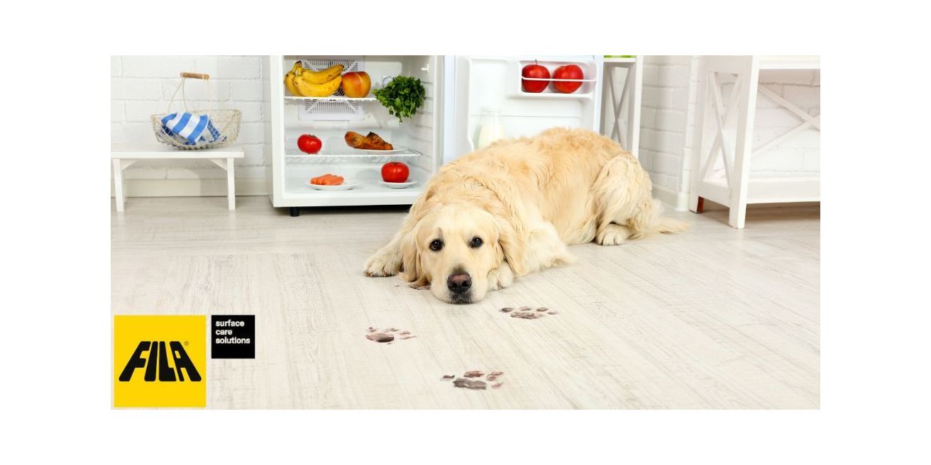 Fila Solutions: leader nella cura e protezione delle superfici
