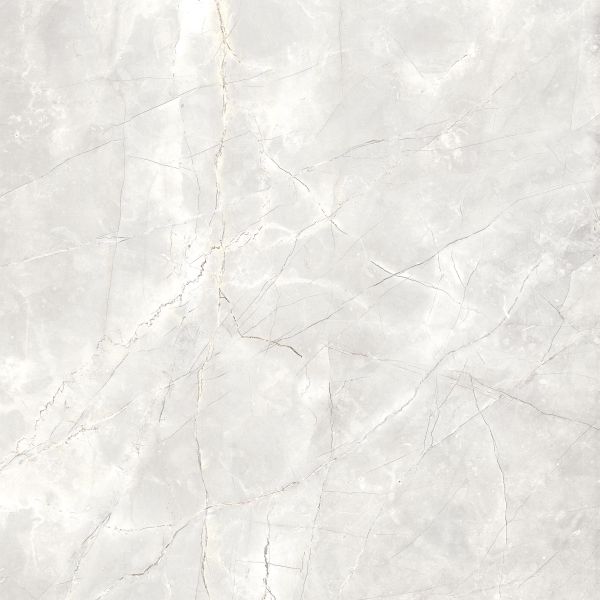 Carrelage Porcelaine Effet Marbre Naturel Gris Clair Mat Rt 120x120 - EAPL1504