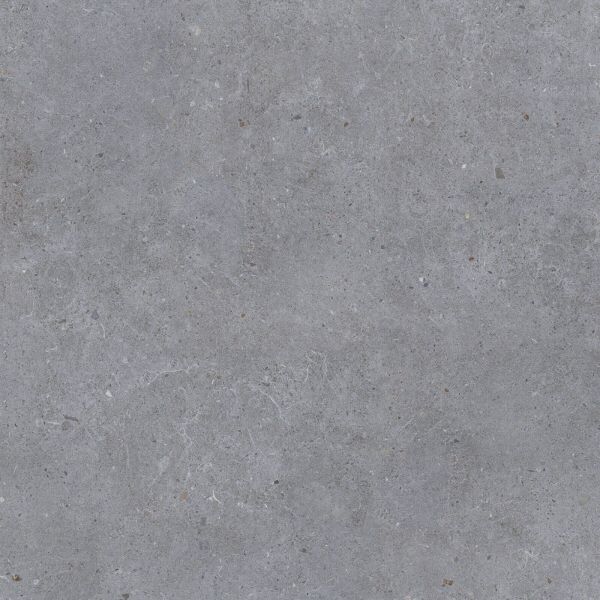 Carrelage Porcelaine Antidérapant Effet Béton Gris Foncé 60X60 - Ebgw016