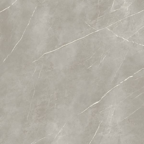 Carrelage Porcelaine Effet Marbre Royal Gris Poli 120X120 - Epyf919