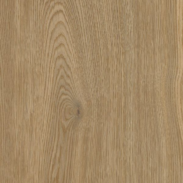 Carrelage en porcelaine effet bois antidérapant moderne et élégant marron foncé 20x120 - EWBY1683