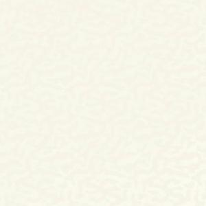 atlas_concorde_boost_color_pure_frog_1.jpg