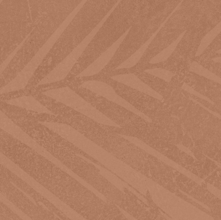 atlas_concorde_boost_expression_life_sienna_1.jpg