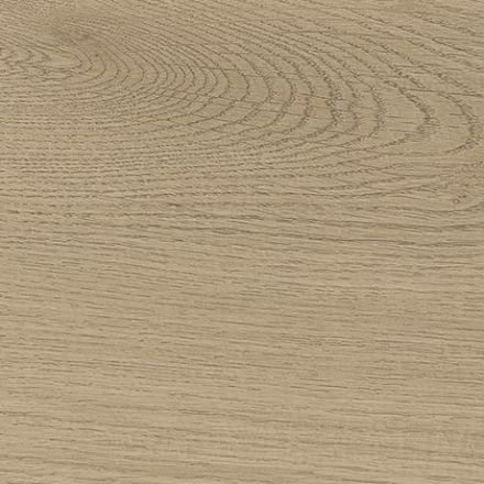 atlas_concorde_entice_ash_oak_elegant_1.jpg