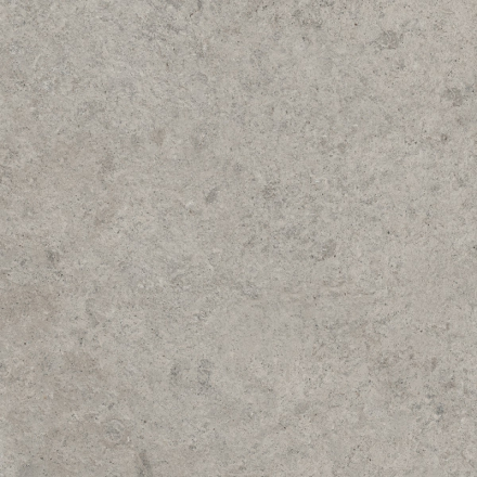 gardenia_orchidea_origini_gris_royal_1.jpg