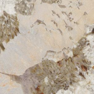 Carrelage en grès cérame effet marbre Patagonia, avec veinage 3D, poli, 120x120 cm - CS25099