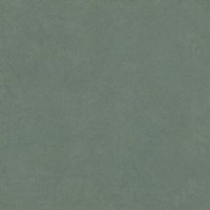 Bardelli Colorama Color 5 Verde 120x120 - CO50120