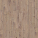 Dado Essenze Cannella 15X60 Rett - 303583
