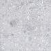 Carrelage Cérame Effet Pierre Ceppo Di Gre' Blanc 20mm R11 80X80 - Ecgw1031