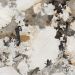 Carrelage Porcelaine Effet Marbre Patagonia Poli 120X120 - Epaa908