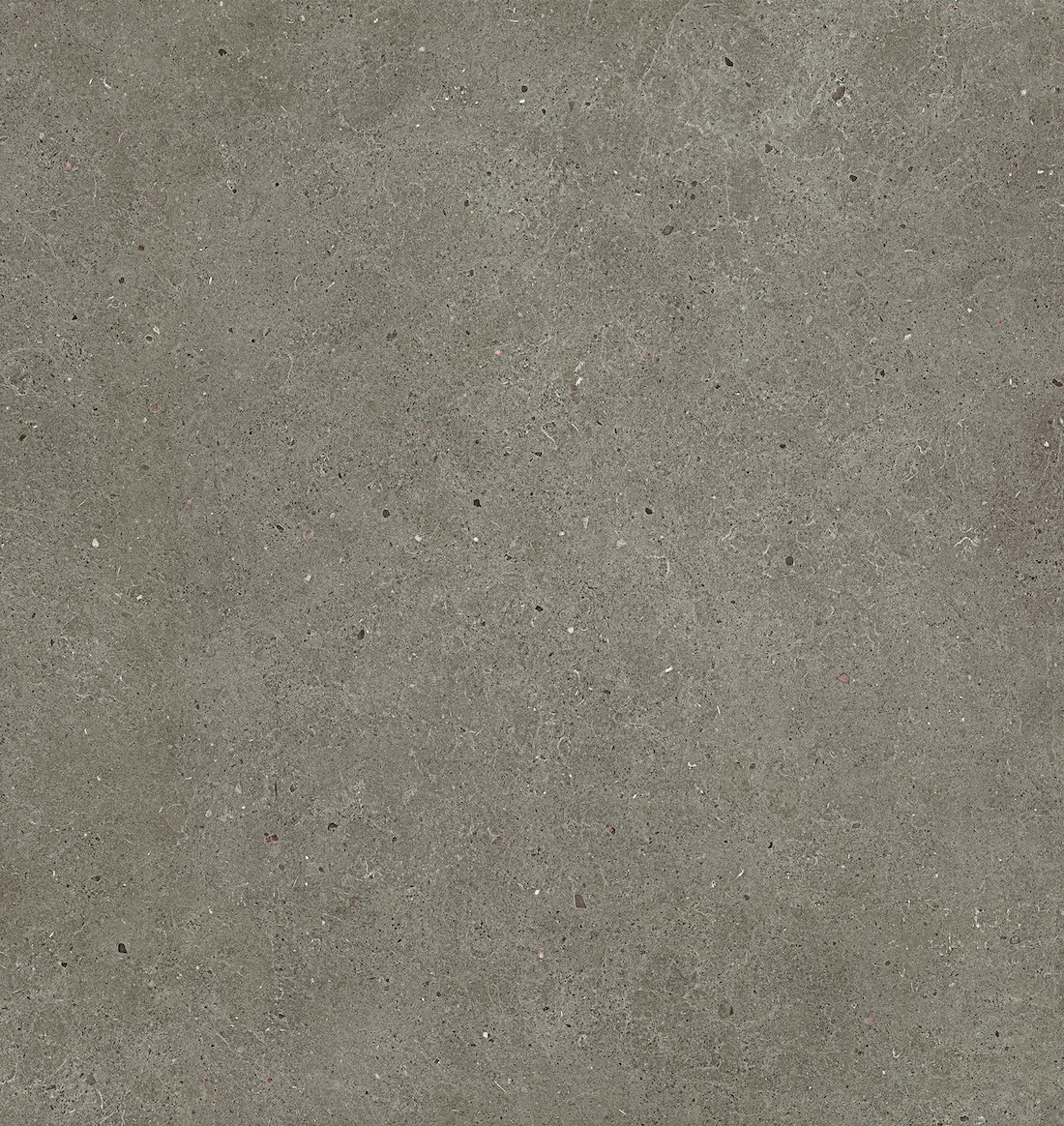 Carrelage Porcelaine Antidérapant Effet Béton Gris Foncé 60X60 - Ebgw016