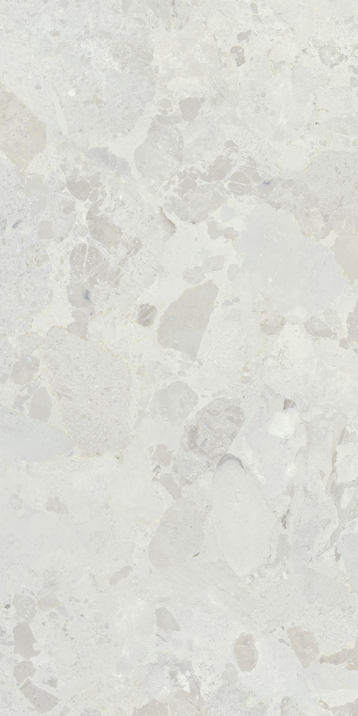 Carrelage extérieur en grès cérame effet pierre moderne Ceppo di Gré 20 mm blanc 60 x 120 mm - EO7006