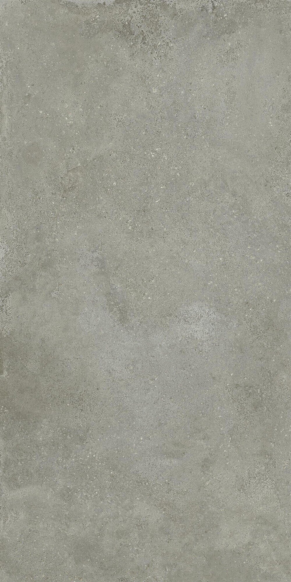 Carreaux de porcelaine d'extérieur effet béton antidérapants R11 Gris moyen 60x120 - EO7041