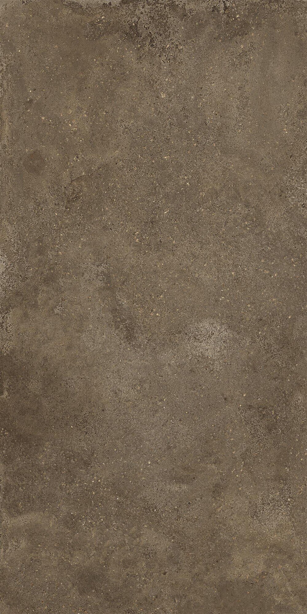 Carrelage de sol en porcelaine effet béton, marron foncé, 60 x 120 cm - EI6115