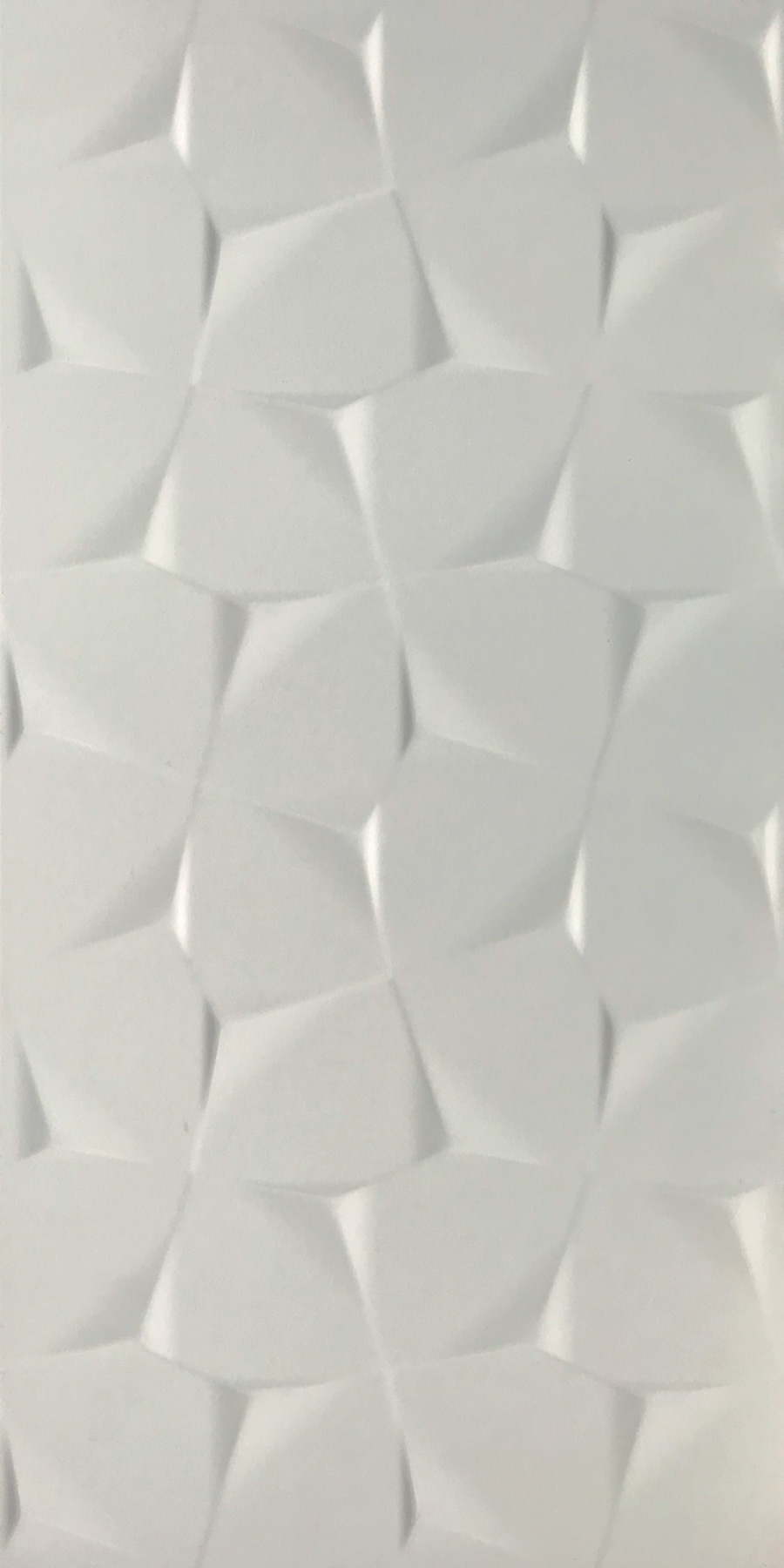 Revêtement en Grès Cérame Décoré Blanc Mat Rt 30x60 - ELWG1694