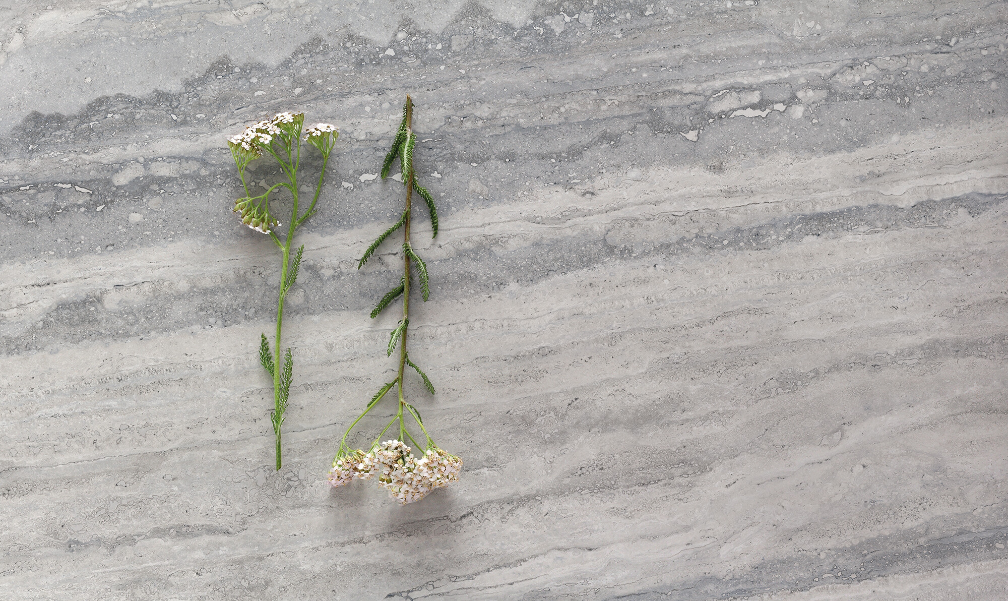 Carrelage Porcelaine Effet Marbre Travertin Veiné Gris Mat 60X60 - Envo897