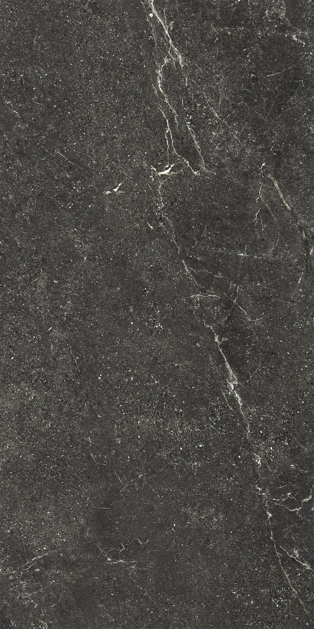 Grès Cérame Effet Pierre Veiné Noir Antidérapant 60X120 - Ewbe1324