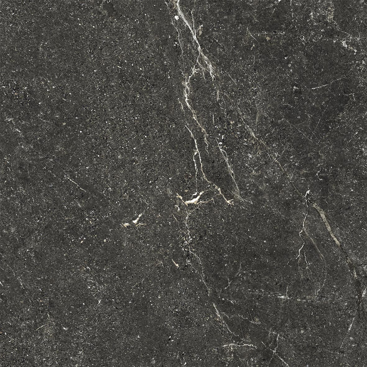 Carrelage Porcelaine Effet Pierre Veiné Noir 20mm R11 60X60 - Ewbe1359