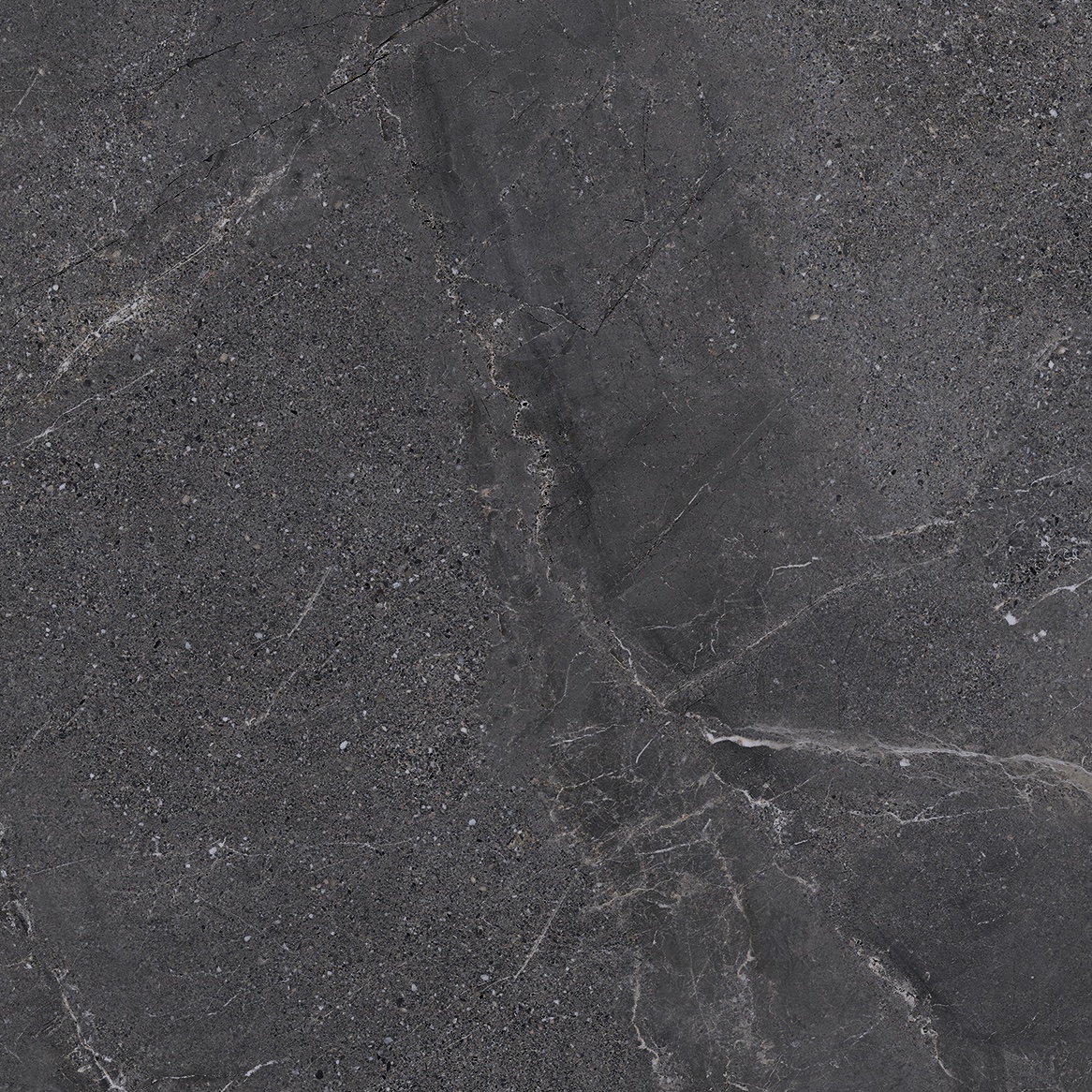 Carrelage Porcelaine Effet Pierre Veiné Noir 20mm R11 60X120 - Ewbe1349