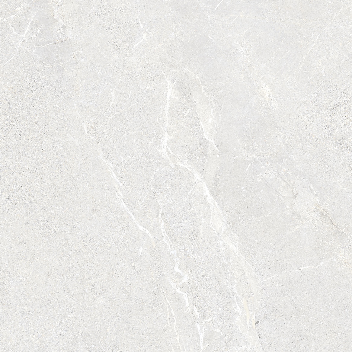 Carrelage Porcelaine Effet Pierre Veiné Blanc Glace 20mm R11 60X120 - Ewbt1345